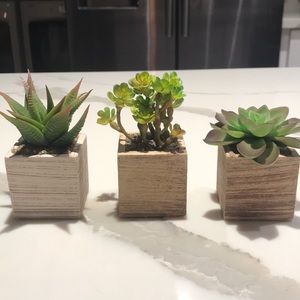 Set of 3 - artificial succulents